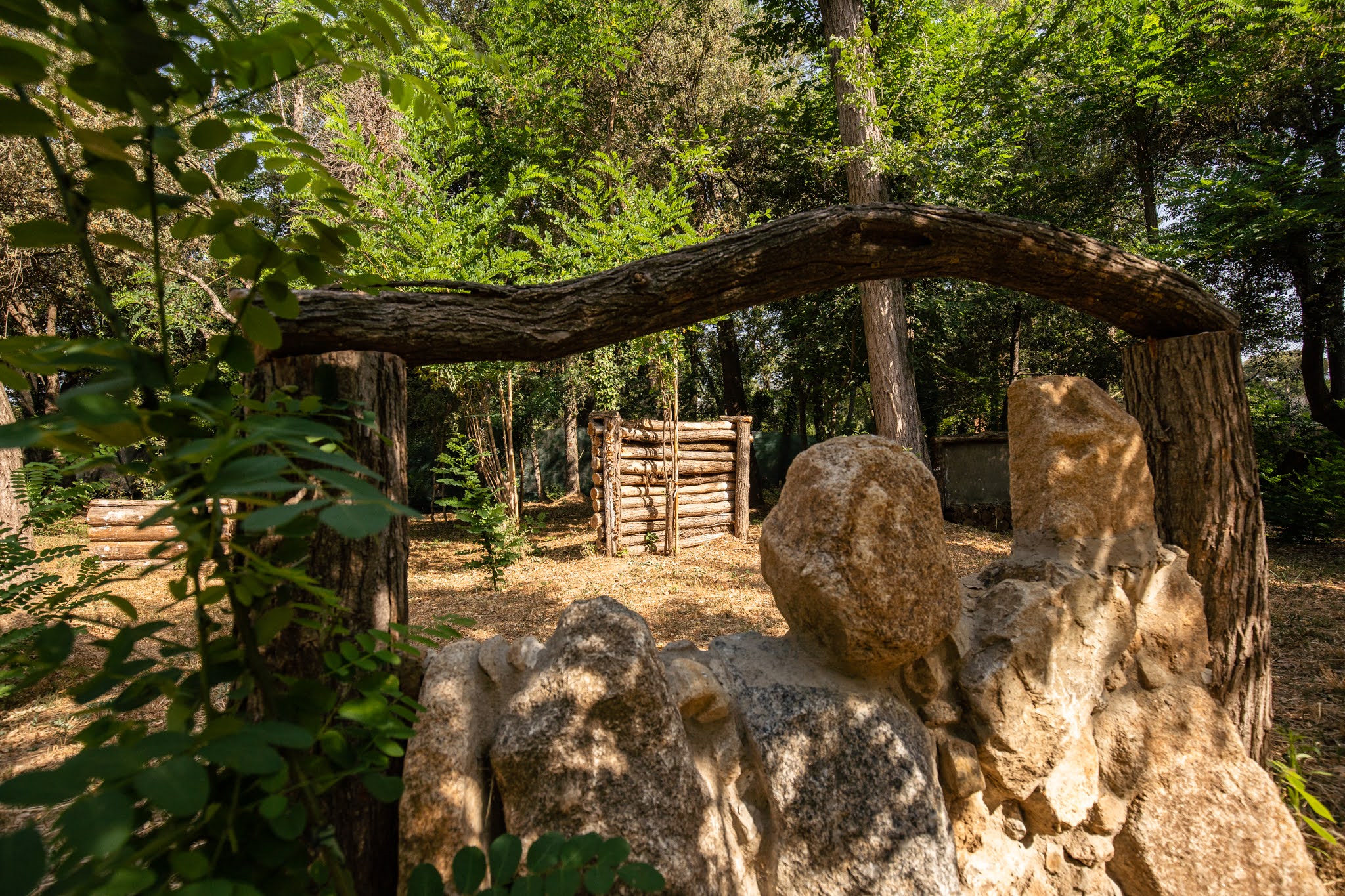 Camp de joc